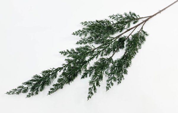 картинка Можжевельник высока ветка от магазина KALINA