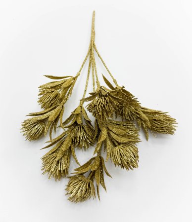 Василистник золото 