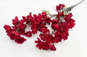 Сакура мелкопильчатая бордовая