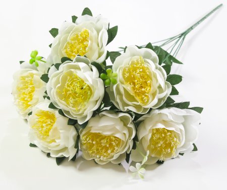 Пион "Миледи" 7 цветков