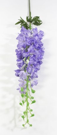 Ветка дельфиниума лавандовая