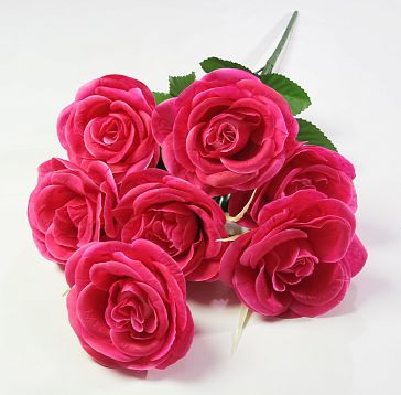 Роза "Вспышка" 7 цветков от магазина KALINA являющийся официальным дистрибьютором в России 