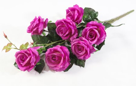 Ветка роз "Альф" 7 цветков 2 бутона