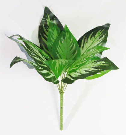 картинка Аглаонема "Трио" от магазина KALINA