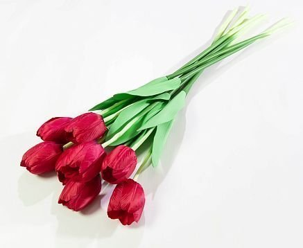 Тюльпан одиночный на высокой ноге от магазина KALINA являющийся официальным дистрибьютором в России 