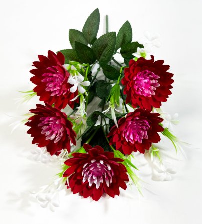 Астра Искра 5 цветков