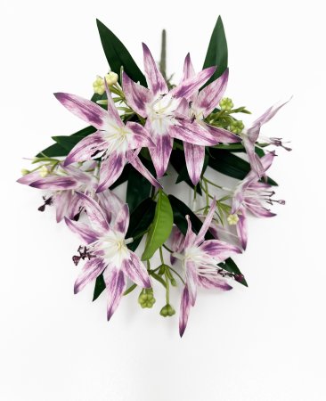 Лилия с корнями (Возможно отгрузить по расцветкам)