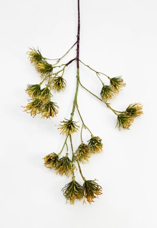 Ветка декоративная "Золотая пора"