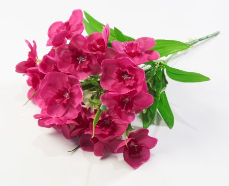 Нарцисс "Лига" 20 цветков