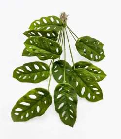 картинка Монстера Обликва Манки Маск 12 листов от магазина KALINA