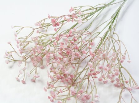 Ветка гипсофилы Чайная роза