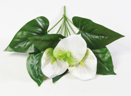 Антуриум Белый 3 цветка