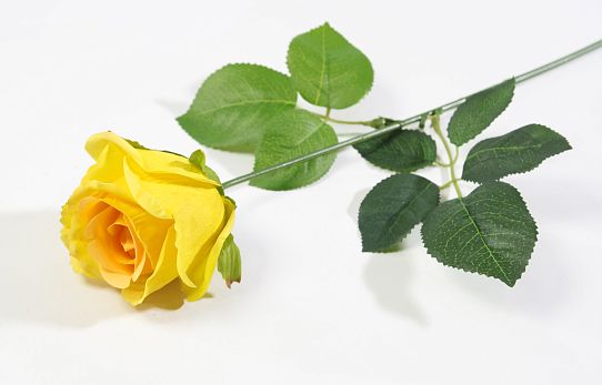 Роза с латексным покрытием желтая от магазина KALINA являющийся официальным дистрибьютором в России 
