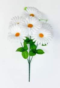 Ромашка "Амурская" 6 цветков