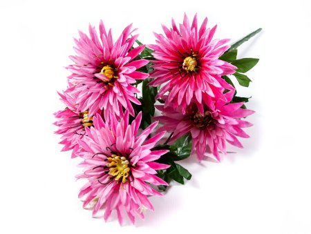 Букет астры " Краб"