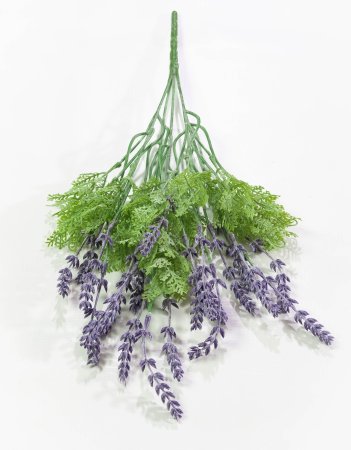 Лаванда "Французская" 2