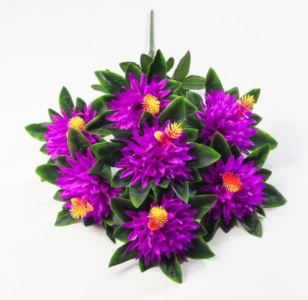 Хризантема "Ариадна" 7 цветков