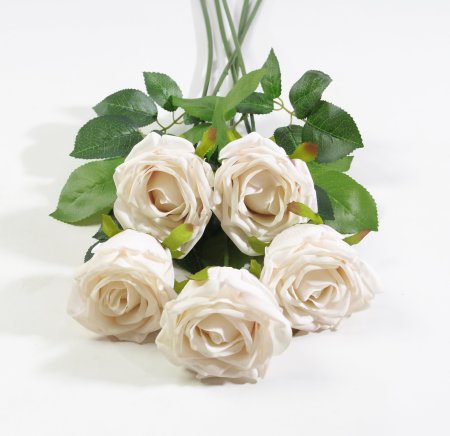 Роза с латексным покрытием крупная молочная