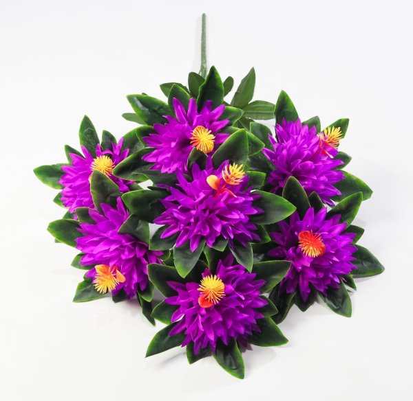 Хризантема "Ариадна" 7 цветков