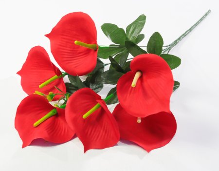 Букет калл Крижинка 6 цветков