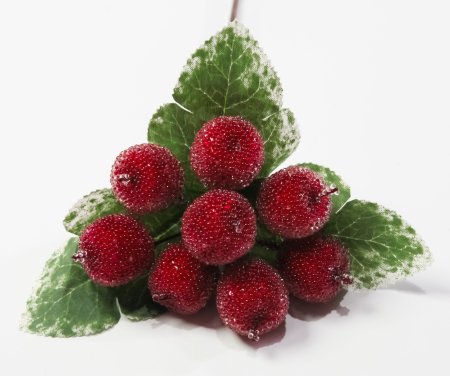 Ягода в инее крупная красная