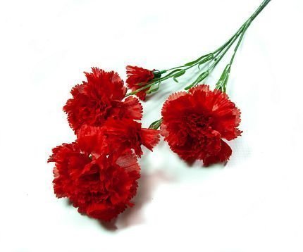 Ветка гвоздики. 3 цветка 2 бутона от магазина KALINA являющийся официальным дистрибьютором в России 