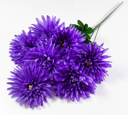 Хризантема "Танго" 7 цветков