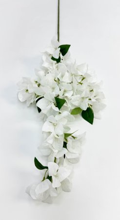 Бугенвиллея белая