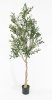 Куст оливы большой 180 см БЕЗ КАШПО
