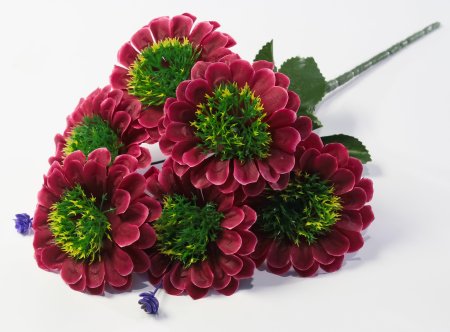 Букет цинний 6 цветков