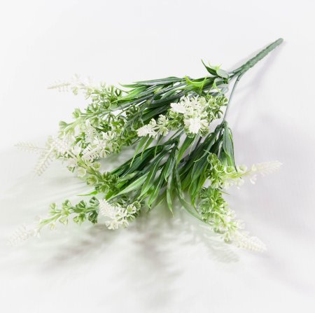 Букет разноцветного аспарагуса