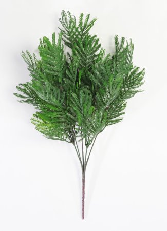 картинка Букет альбиции Лето от магазина KALINA