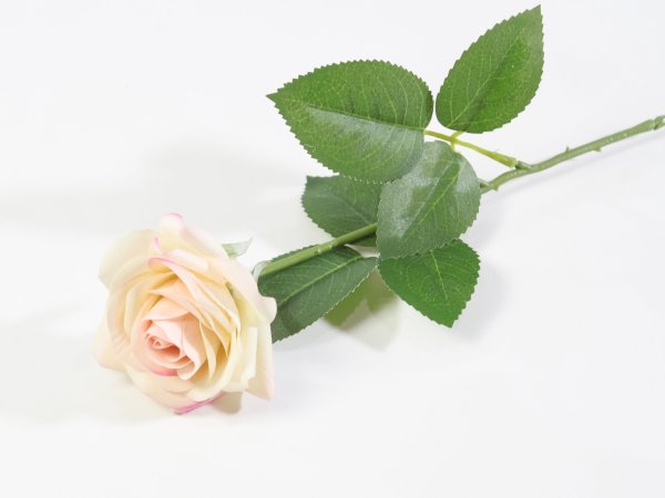 Роза с латексным покрытием открытая "Бананомания"