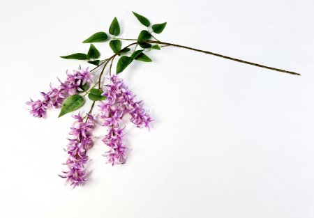 Глициния шелковистая розовая