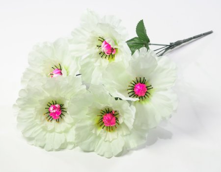 Георгин "Августа" 5 цветков