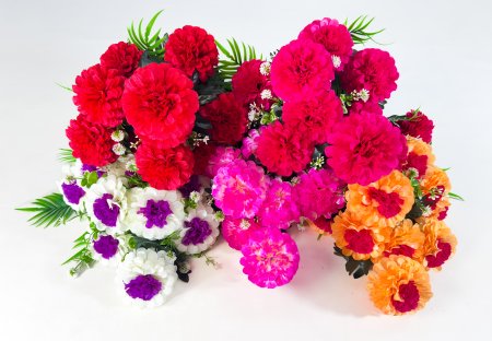 Шафран Пампушка 11 цветков