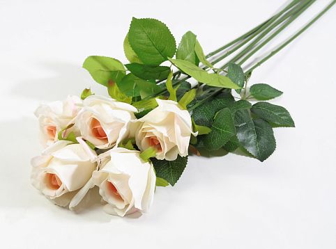 Роза с латексным покрытием "Ла Перла" от магазина KALINA являющийся официальным дистрибьютором в России 