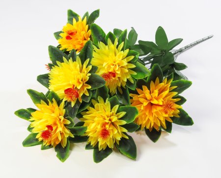 Хризантема "Ариадна" 7 цветков