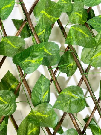 картинка Ограждение декоративное малое с листом эпипремнума от магазина KALINA