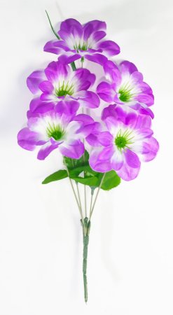 Букет георгина "Ария" 5 цветков