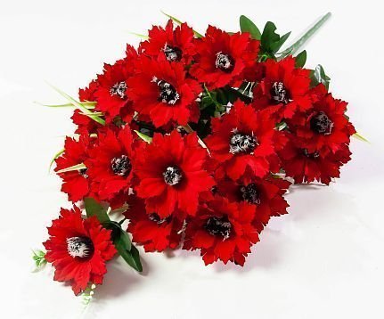 Астра бархатная с черной тычинкой 18 цветков от магазина KALINA являющийся официальным дистрибьютором в России 