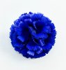 Насадка гвоздики "Блю"