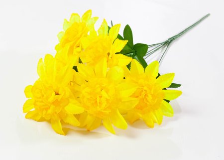 Шафран "Звезда малая" 6 веток