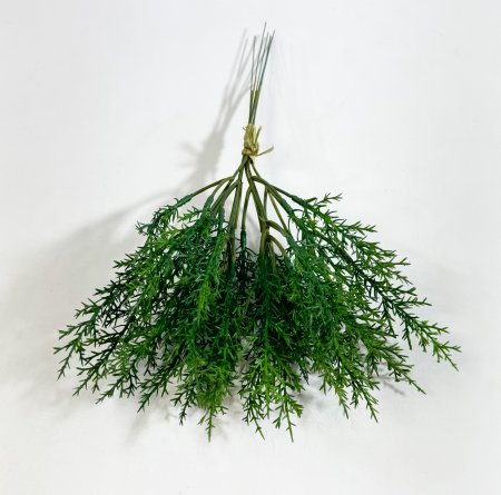 картинка Туя от магазина KALINA