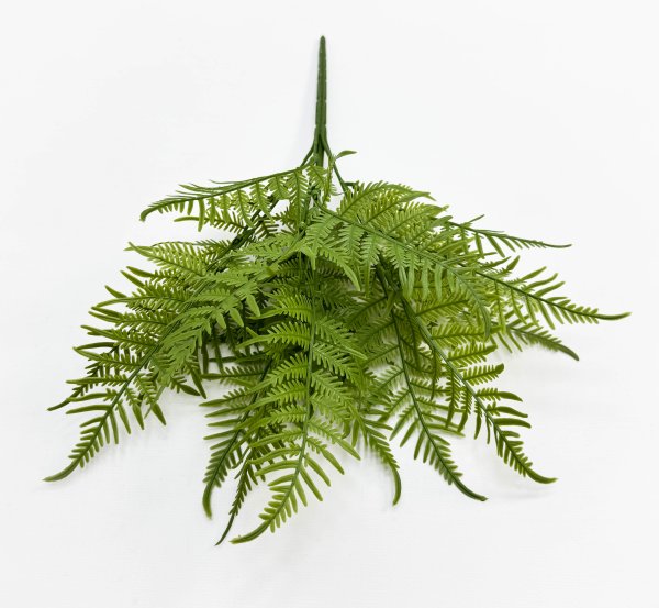 картинка Даваллия Мариса  от магазина KALINA