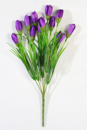 Крокус Капрал 12 цветков