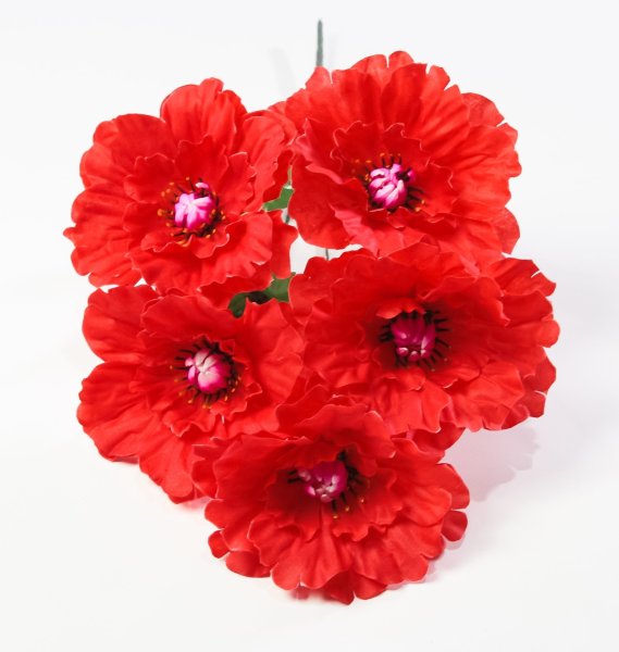 Георгин "Августа" 5 цветков