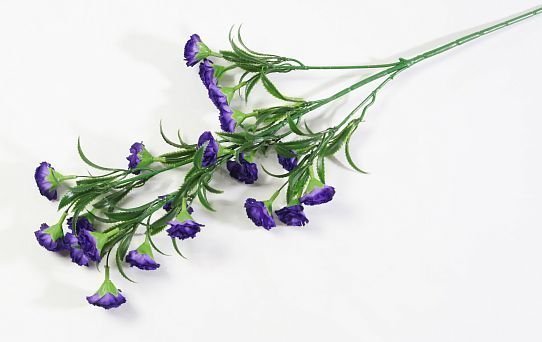 Ветка гвоздики 20 цветков фиолетовая от магазина KALINA являющийся официальным дистрибьютором в России 