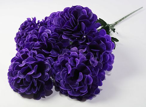 Букет шафрана "Великан" 7 цветков от магазина KALINA являющийся официальным дистрибьютором в России 