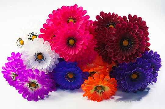 Астра "Арабелла" 6 цветков от магазина KALINA являющийся официальным дистрибьютором в России 